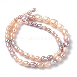 Natural Cultured Freshwater Pearl Beads Strands&nbsp;PEAR-C004-16
