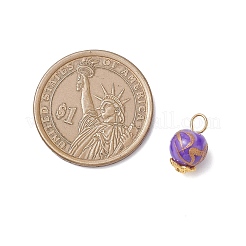 8Pcs Glass & Alloy Charms&nbsp;PALLOY-JF04635