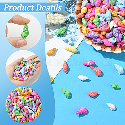 500Pcs Dyed Natural Spril Shell Beads&nbsp;SSHEL-SC0001-33