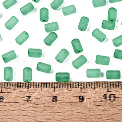 FGB Frosted Transparent Glass Seed Beads&nbsp;SEED-N013-05A-09