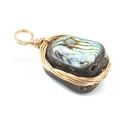 Natural Abalone Shell/Paua Shell Pendants&nbsp;PALLOY-JF05278