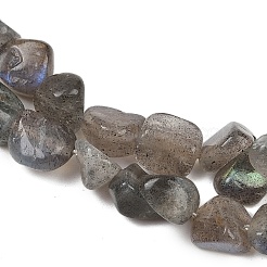 Natural Labradorite Beads Strands&nbsp;G-Q060-E20-01