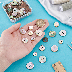 96Pcs 6 Styles Natural Shell Buttons&nbsp;BUTT-PH0001-45