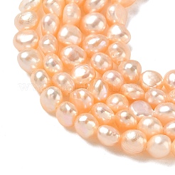 Natural Cultured Freshwater Pearl Beads Strands&nbsp;PEAR-C004-21F