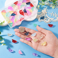 72Pcs 12 Colors Transparent Glass Beads&nbsp;DGLA-TA0001-53
