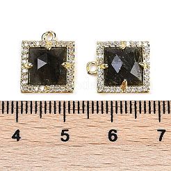 Natural Labradorite Faceted Square Charms&nbsp;G-I375-06G-08