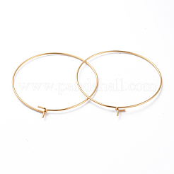 316 Surgical Stainless Steel Hoop Earring Findings&nbsp;STAS-J025-01E-G