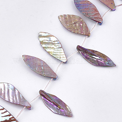 Freshwater Shell Beads Strands&nbsp;SHEL-T012-51