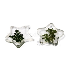 Epoxy Resin Pendants&nbsp;RESI-T058-02B