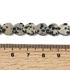 Natural Dalmatian Jasper Beads Strands&nbsp;X-G-M403-A31-03