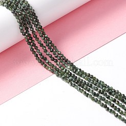 Natural Seraphinite Beads Strands&nbsp;G-A021-07B
