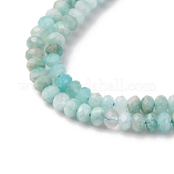Natural Amazonite Beads Strands&nbsp;LS-G-RM2025-D19-B02