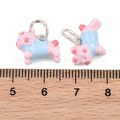 Alloy with Enamel Charms&nbsp;AL-CBA1FD3-06S-02