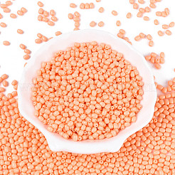 Baking Paint Glass Seed Beads&nbsp;SEED-N007-29D