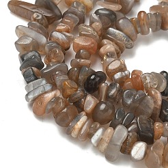 Natural Multi-Moonstone Chip Beads Strands&nbsp;G-B160-A04-01