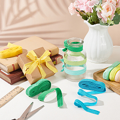 30M 10 Colors Flat Polyester Elastic Cord&nbsp;OCOR-BC0006-33A