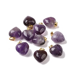 Natural Amethyst Pendants&nbsp;X-G-I311-A18-G