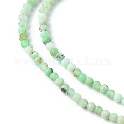 Natural Chrysoprase Beads Strands&nbsp;G-F748-X01-02B