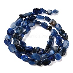 Natural Kyanite Beads Strands&nbsp;G-C268-A08-6x8mm