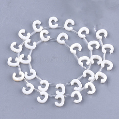 Freshwater Shell Beads&nbsp;X-SHEL-T012-59C