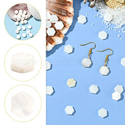 2 Strands Natural Freshwater Shell Beads Strands&nbsp;SSHEL-SC0001-36A