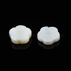 Natural Freshwater Shell Beads&nbsp;SHEL-N026-184