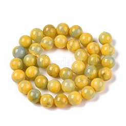 Dyed Natural White Jade Beads Strands&nbsp;G-T138-10mm-210-26