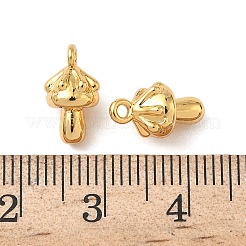 Brass Charms&nbsp;KK-B160-16G