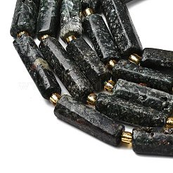 Natural Seraphinite Beads Strands&nbsp;G-D353-A05