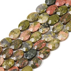 Natural Unakite Beads Strands&nbsp;G-H349-A01-04