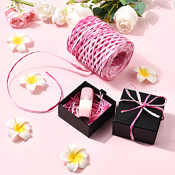 Segment Dyed Raffia Paper Cords for DIY Craft&nbsp;OCOR-WH20020-27A