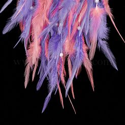 Iron Woven Web/Net with Feather Pendant Decorations&nbsp;AJEW-B017-09