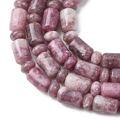 Natural Lepidolite/Purple Mica Stone Beads Strands&nbsp;G-H343-B01-01