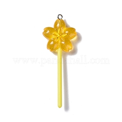 Luminous Translucent Resin Big Pendants&nbsp;RESI-D057-09