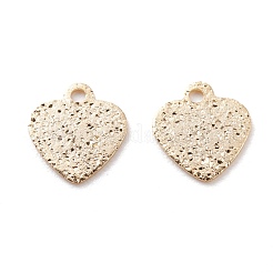 Brass Charms&nbsp;KK-Y003-17G