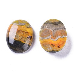 Natural Bumblebee Jasper Cabochons&nbsp;G-A179-01B