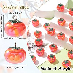 20Pcs Opaque Resin Pendants&nbsp;SACR-CJ0001-37