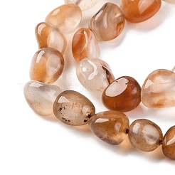 Natural Red Agate Beads Strands&nbsp;LS-G-G146-A25-01