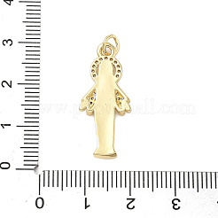 Brass Micro Pave Cubic Zirconia Pendants&nbsp;KK-K368-02B-G