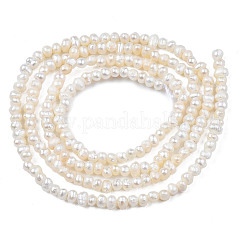 Natural Cultured Freshwater Pearl Beads Strands&nbsp;PEAR-N013-02B