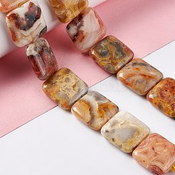 Natural Crazy Lace Agate Beads Strands&nbsp;G-L253-12