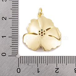 Rack Plating Brass Micro Pave Cubic Zirconia Pendants&nbsp;X-KK-K367-21G-02