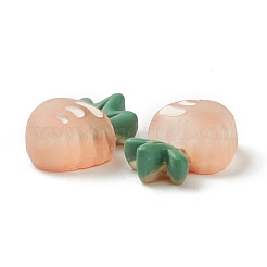 Transparent Resin Decoden Cabochons&nbsp;RESI-F024-04