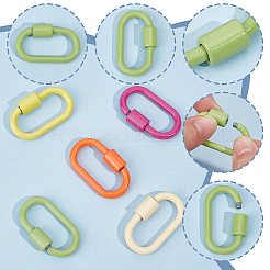 6Pcs 6 Styles Baking Paint Alloy Screw Locking Carabiners&nbsp;FIND-DR0002-08A