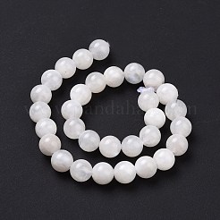 Natural Rainbow Moonstone Round Beads Strands&nbsp;G-P088-57-8mm