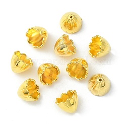 Tibetan Style Alloy Bead Caps&nbsp;TIBE-5211-G-LF
