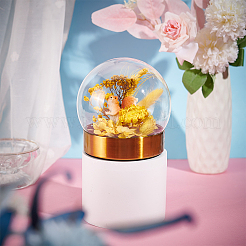 Glass Dome Cover&nbsp;DJEW-WH0015-102B