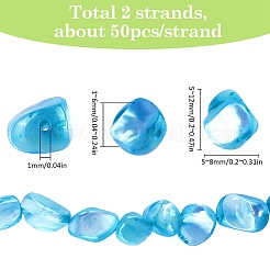 100Pcs Natural Trochid Shell/Trochus Shell Beads&nbsp;BSHE-SC0001-16A