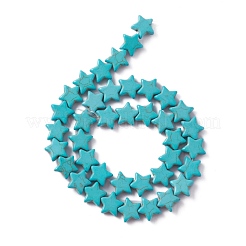 Synthetic Turquoise Beads Strands&nbsp;G-WH0021-05