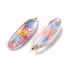 Inner Dried Flower Transparent Resin Pendants&nbsp;RESI-A043-01A